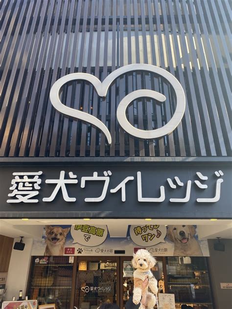 愛犬ヴィレッジ 閉店|愛犬ヴィレッジ東新宿店 